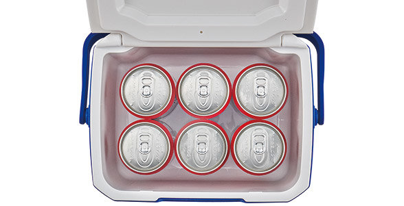 Coleman Performance Personal Cooler