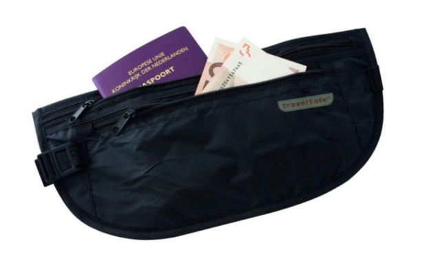 TravelSafe Money Belt