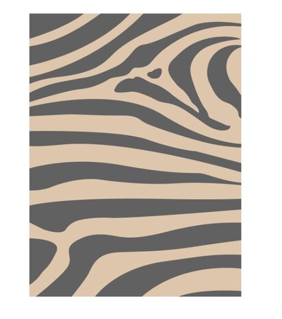 Safarica Safarimat | Zebra Beige | Buitenkleed | Diverse Maten